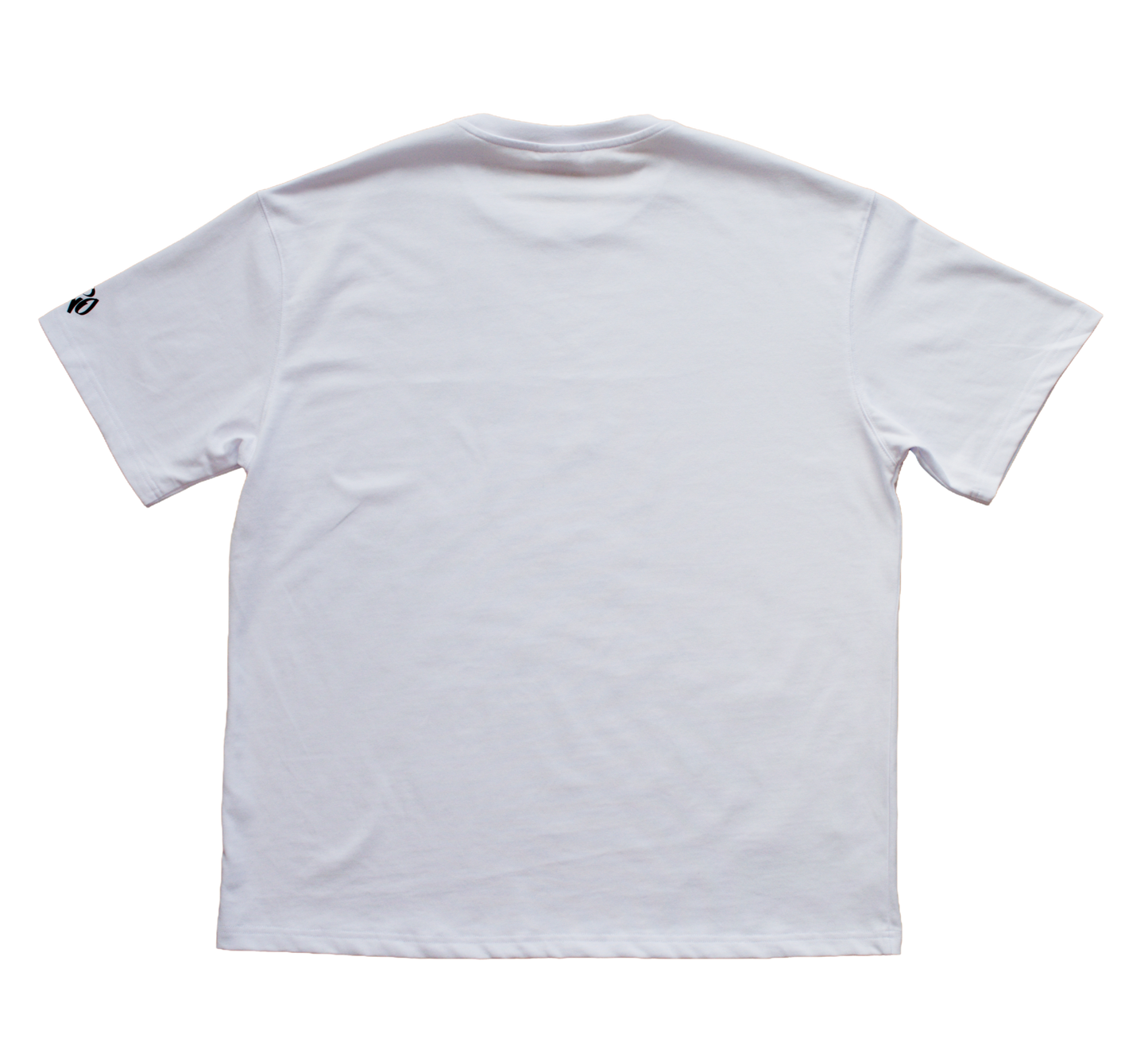 Dizar oversized t-shirt