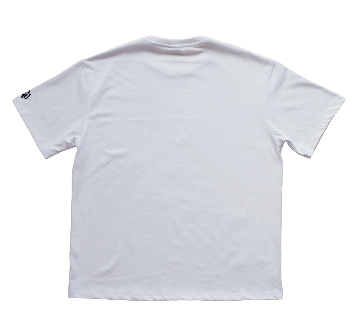 Dizar oversized t-shirt - ONE TWENTY