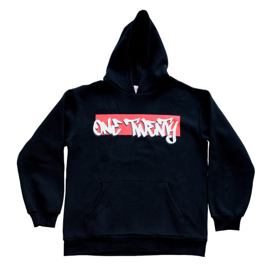 One twenty print hoodie